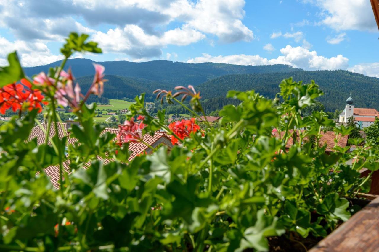 Ferienwohnungen Schmid Lam Esterno foto